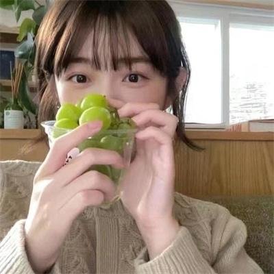 官能的法则