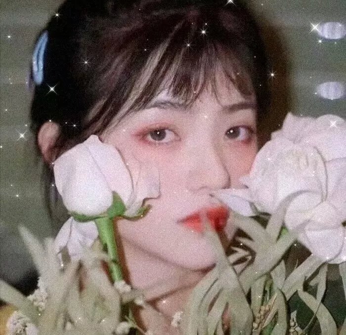温暖的皇妃